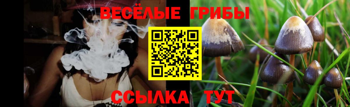 Галлюциногенные грибы Cubensis  Вход с VPN  Сальск 